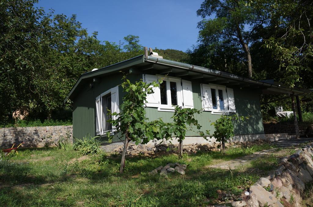 Vila Badacsony Vendeghaz Badacsonytördemic Pokoj fotografie